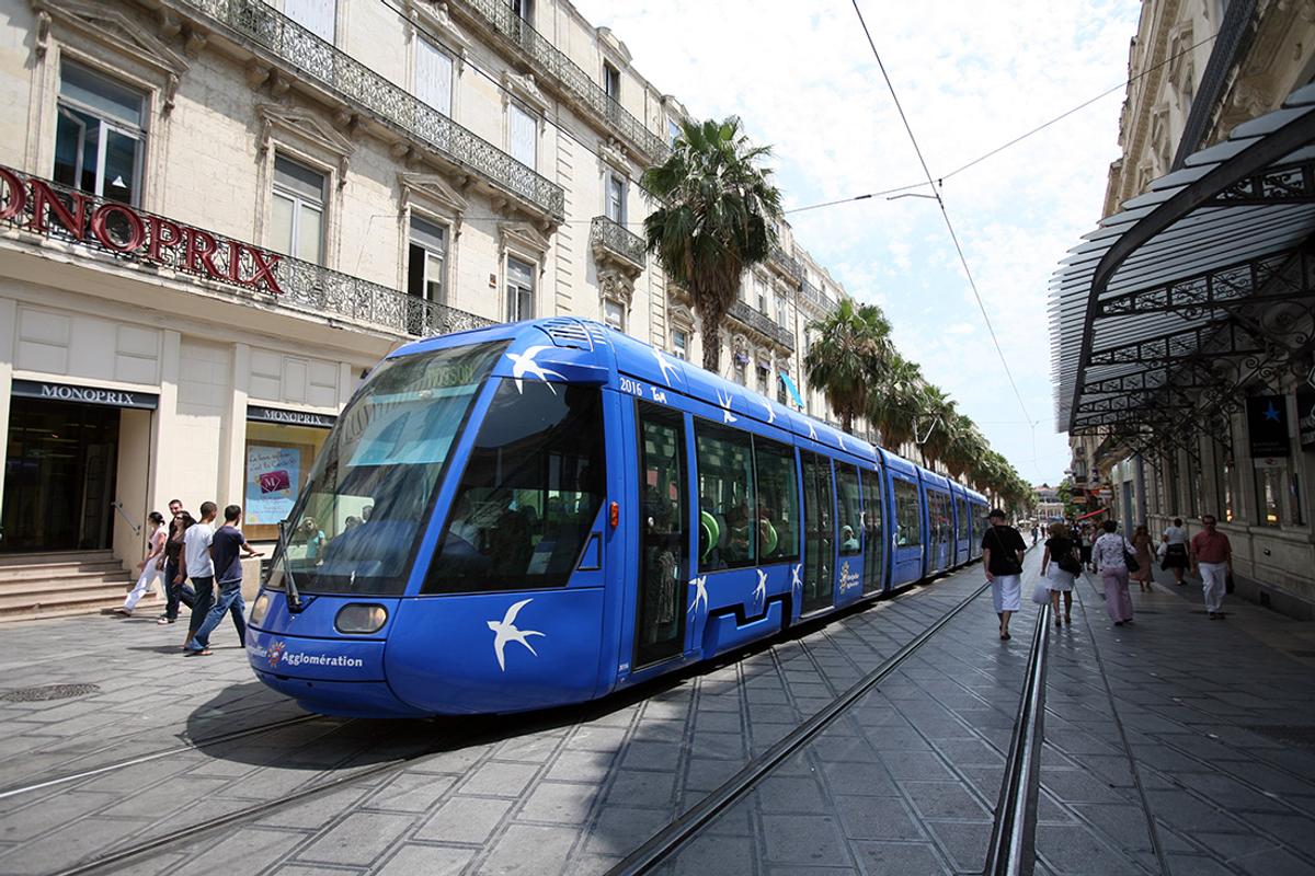 BaptisteChapuis's tweet card. TRIBUNE. Pour le maire (PS) de Montpellier, le choix des transports publics gratuits s’impose à l’heure du pétrole cher, de la ségrégation des quartiers et de la crise climatique.