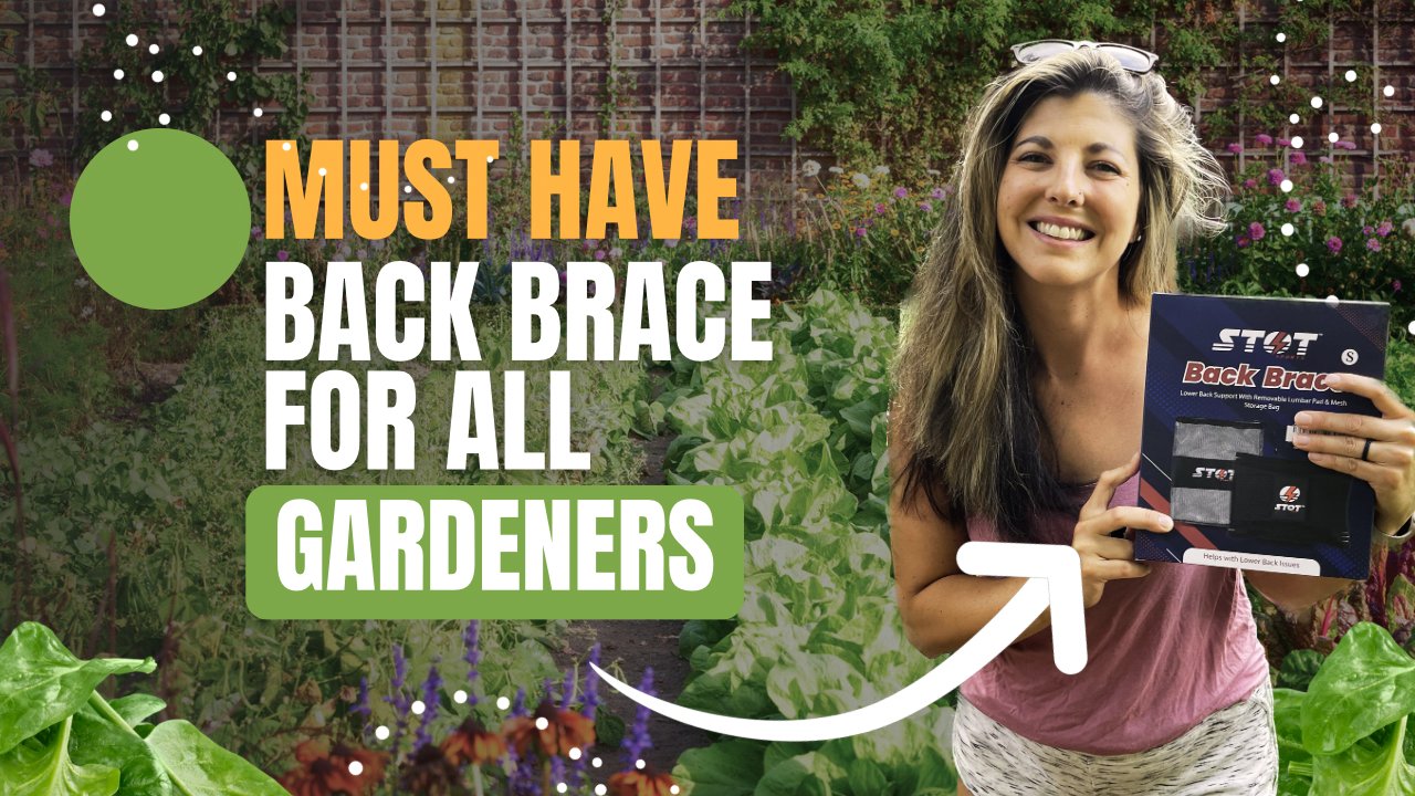 Stotsports's tweet card. Shop with expert advice from FreeRangeVentures in their latest video Review of this must have Stot Sports Back Brace! .