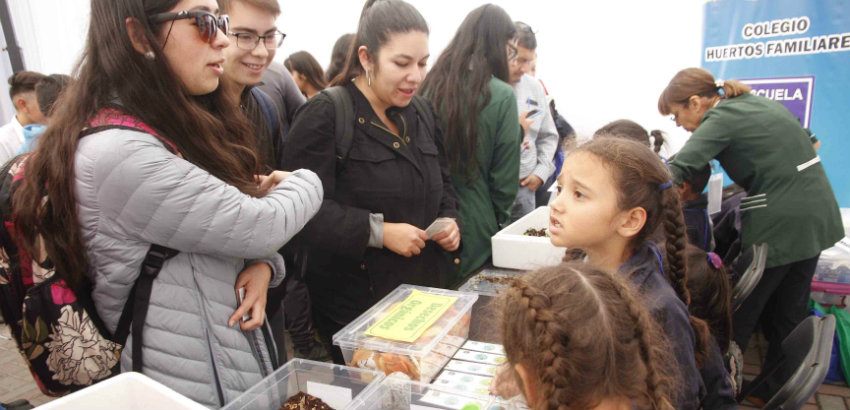 ICEC_UCSC's tweet card. Niños y jóvenes de la Región dan a conocer sus trabajos científicos