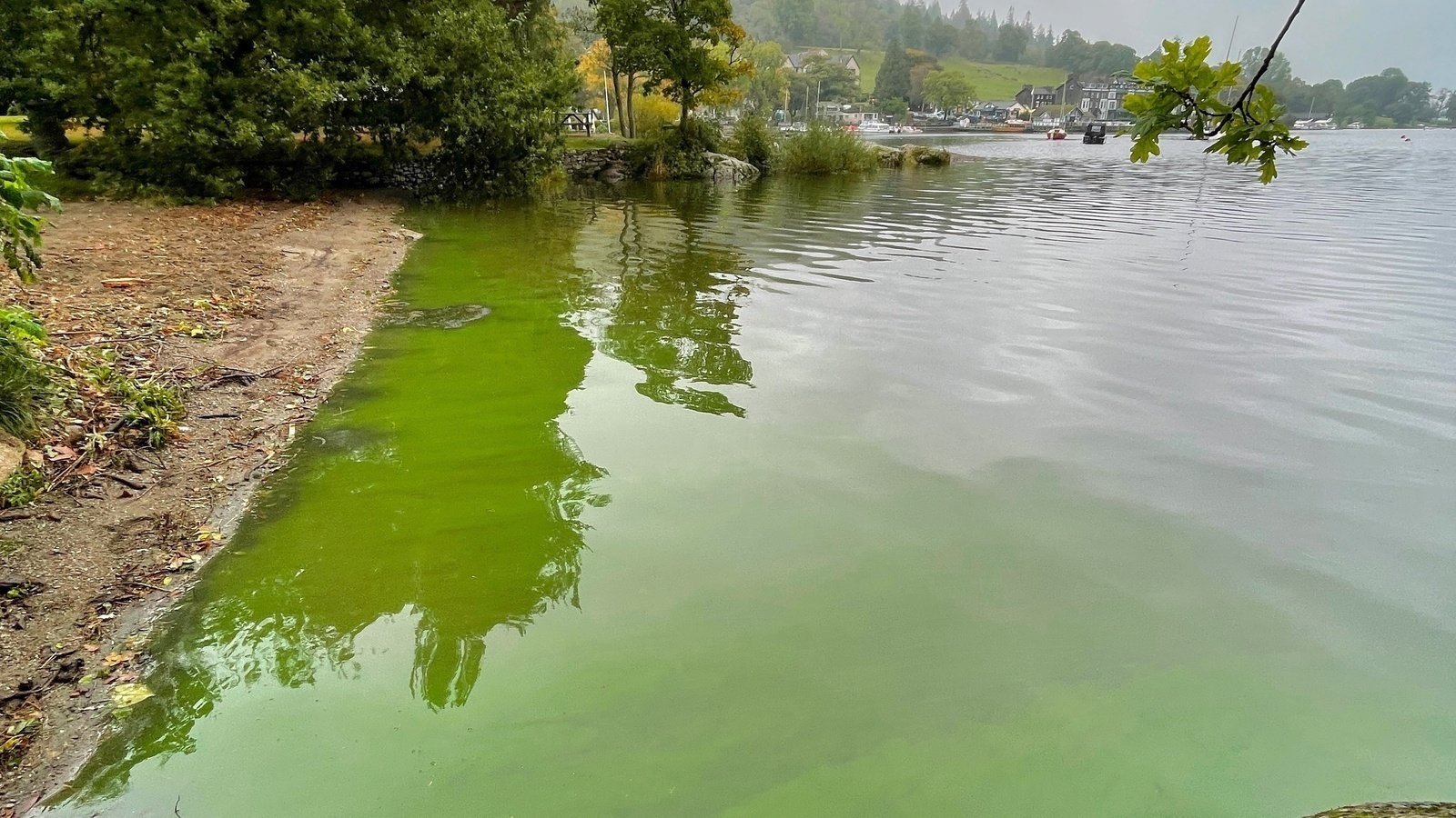 APPH2013's tweet card. Stop water pollution in the Lake District