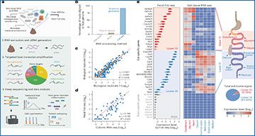 RNASeqBlog's tweet card. Foli-seq uses fecal human cells to reveal gut and immune activity, expanding RNA sequencing to noninvasive monitoring of intestinal health and inflammation...