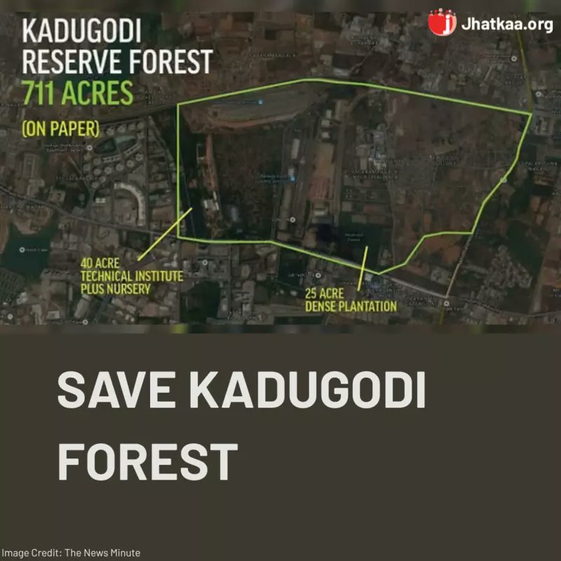theprogrammerin's tweet card. Save 711-acre Kadugodi Forest in Bengaluru