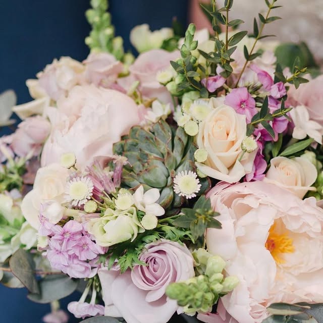 JosysEvents's tweet card. Josy Johnson (@josysevents) • Instagram photo