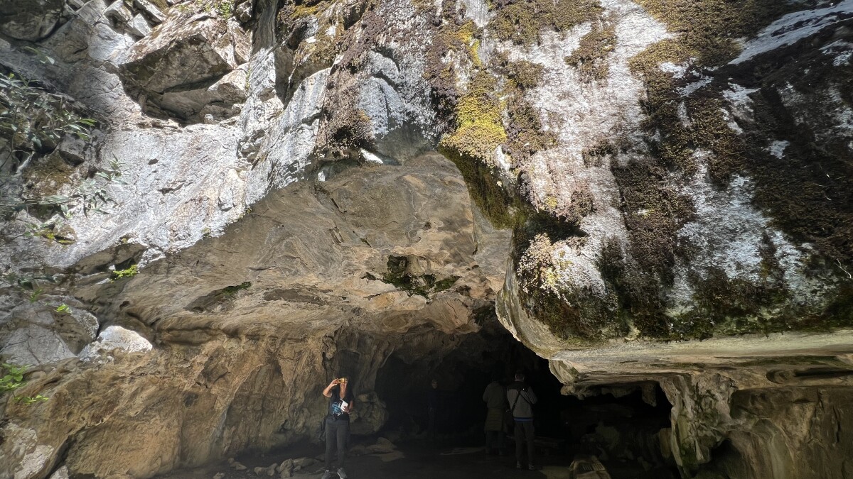 jn_moore's tweet card. "This is a marble cathedral."