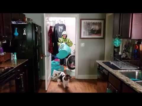 CeRobots's tweet card. Wonder No More, Chris Rose