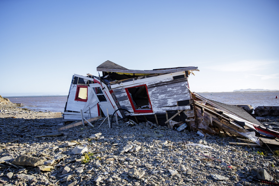 INM_voix's tweet card. Chaque semaine, un de nos journalistes vous présente un essai récemment publié.