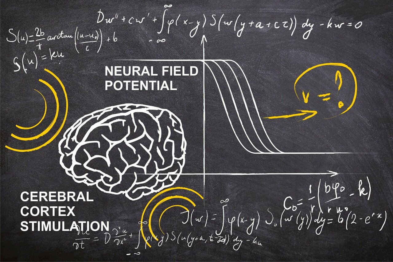 maanow's tweet card. A RUDN mathematician calculated the velocity of wave propagation in the brain in the course of external stimulation. This procedure is used to treat stroke patients. To do so, the scientists genera...