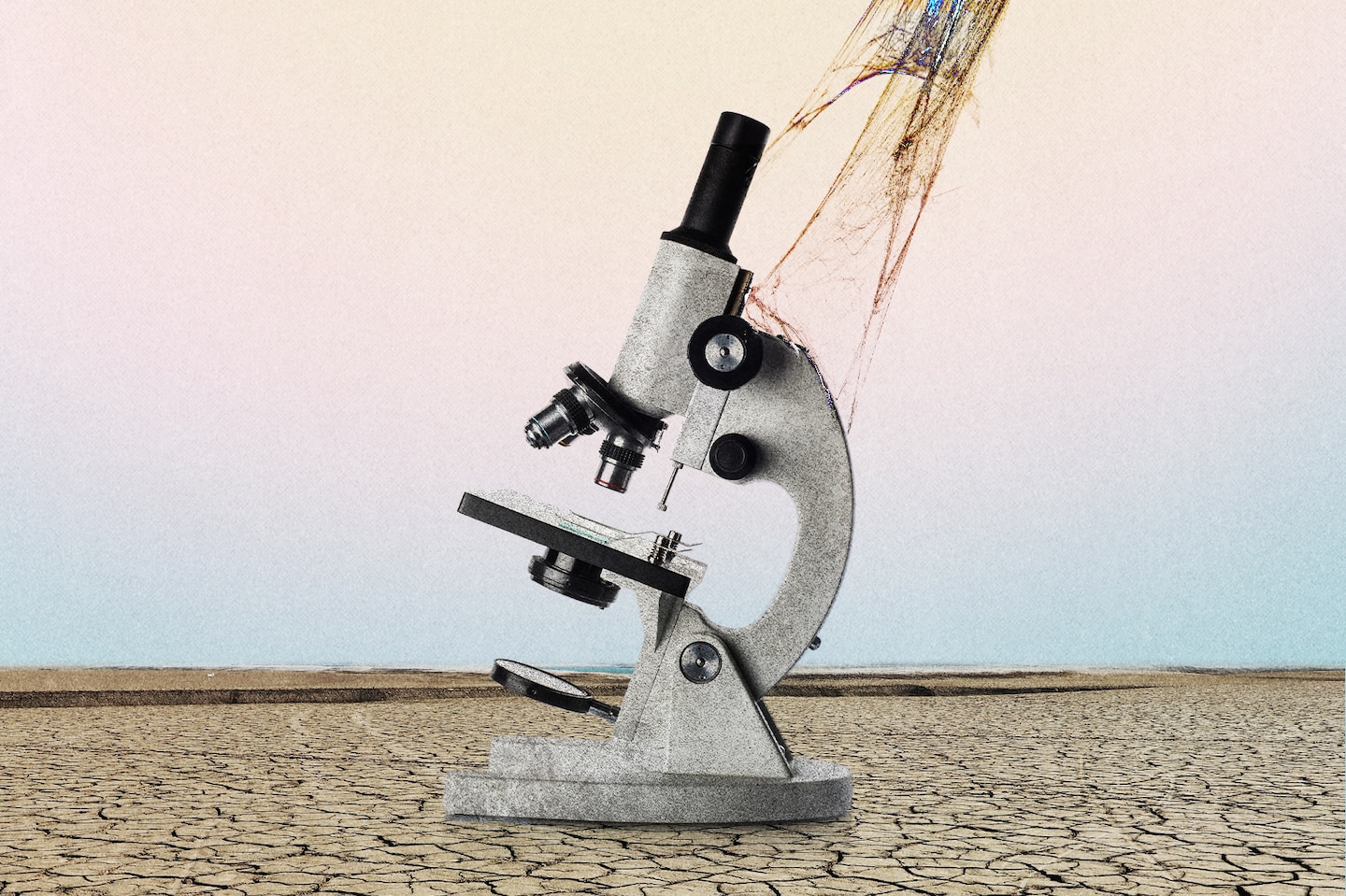 RepJohnLarson's tweet card. Grants for 383 clinical trials were terminated and the funding disruptions affected more than 74,000 trial participants, according to new research.