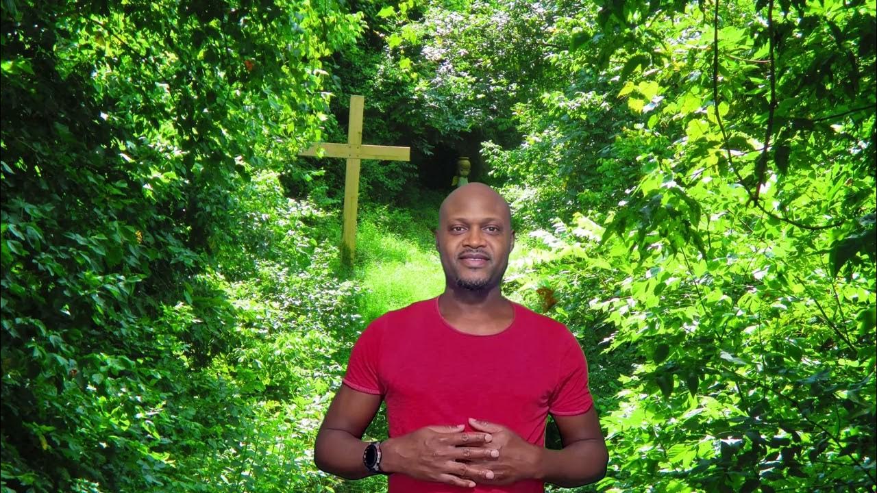 seniornerd's tweet card. King David Kindness