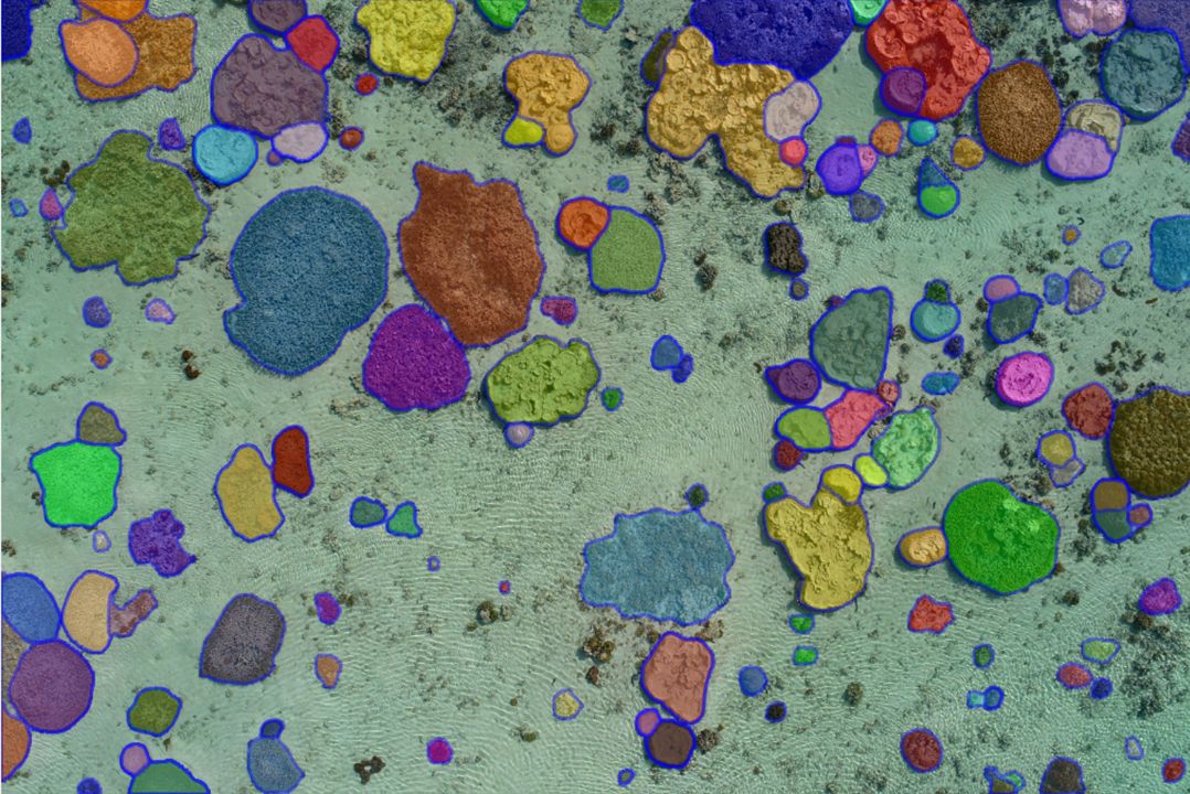 GeoNadirAu's tweet card. If you thought ChatGPT was cool for text, check out MetaAI's Segment Anything and how it works for aerial drone mapping imagery!