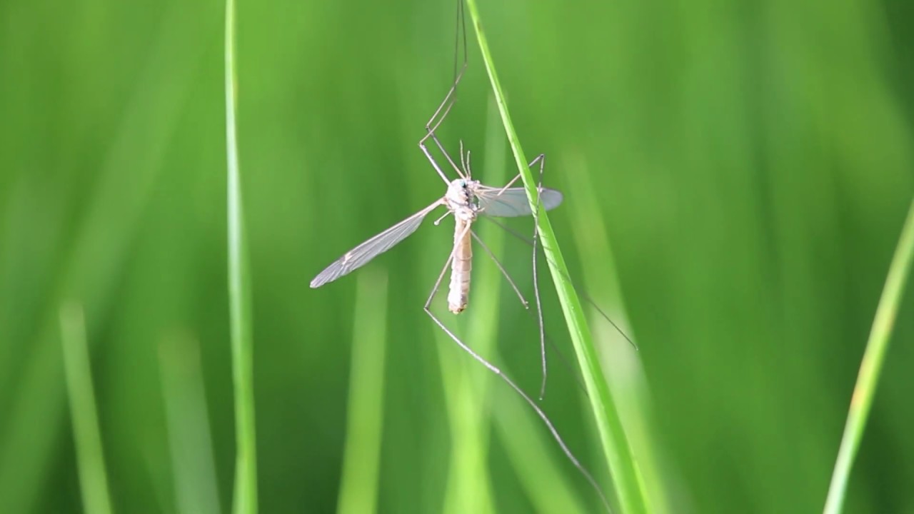 AmazonBookStore's tweet card. Absolutely Stunning Nature! (Relaxing Nature Video) Nature Therapy