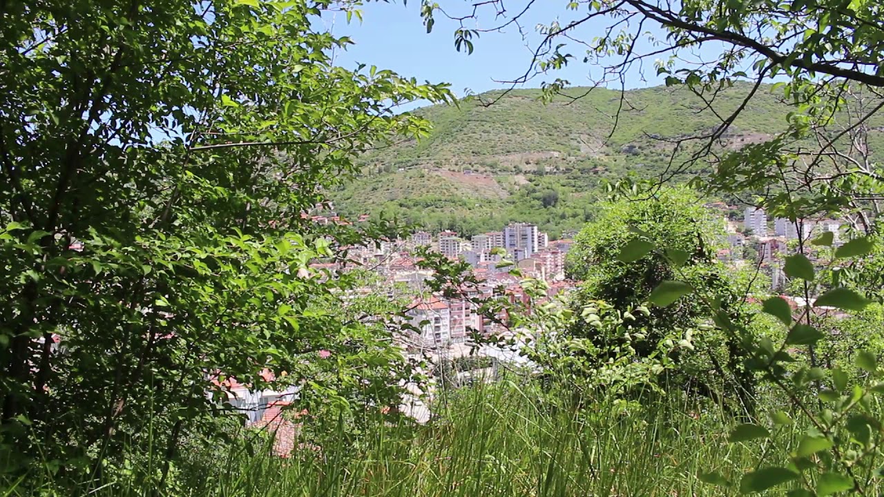 AmazonBookStore's tweet card. Nature Therapy: Naturel Sounds (City Sound When There is a Curfew)...