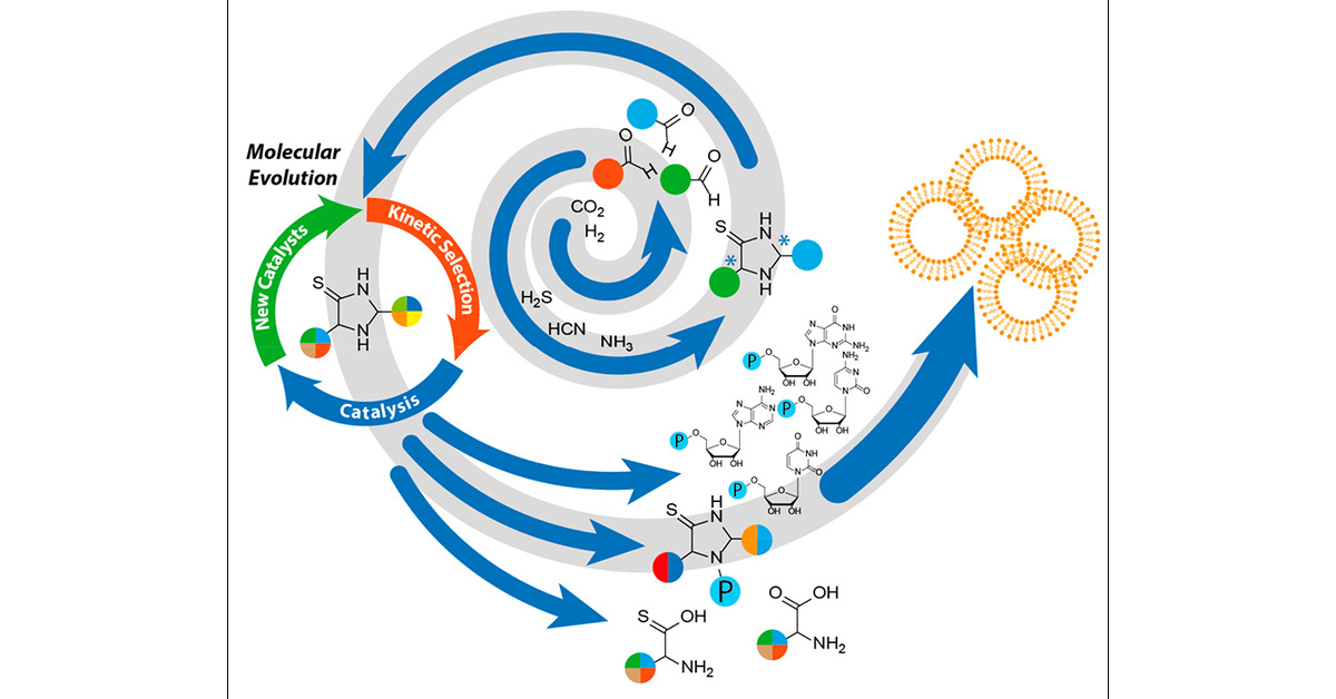 TrappLab's tweet card. ConspectusLife as we know it is built on complex and perfectly interlocking processes that have evolved over millions of years through evolutionary optimization processes. The emergence of life from...