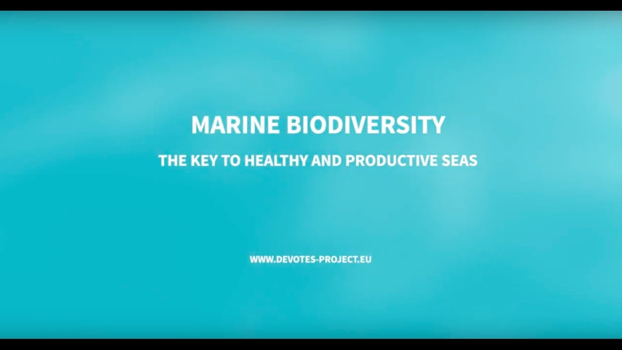 DEVOTESproject's tweet card. DEVOTES Movie