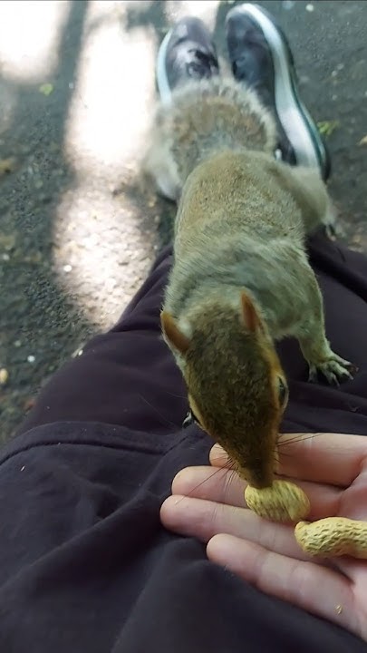 2chriscolin1010's tweet card. 🐿 another June 2023. I hope you enjoy as much as i did. Have a great...