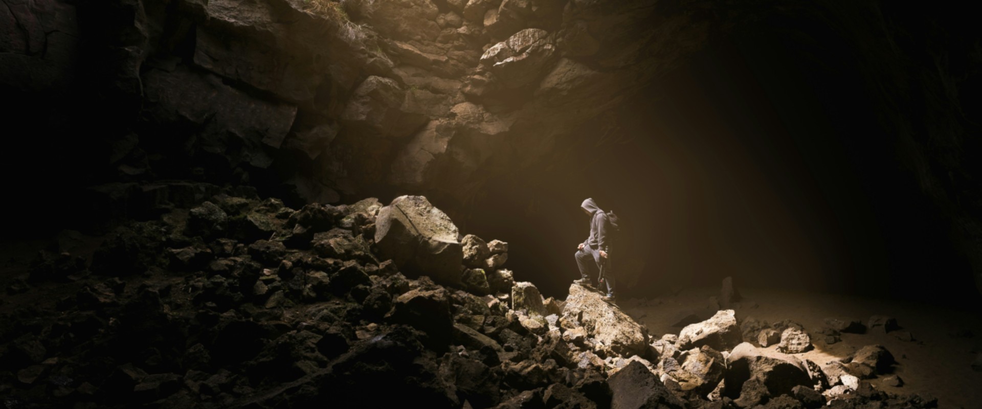 NutritionRoe's tweet card. As a lecturer, I have observed increasing discussion among colleagues concerning the continuing value of the dissertation as an essential component of a degree program. Long regarded as an acade