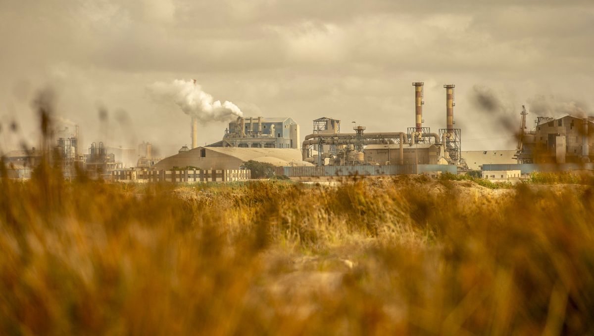 0Utopia0's tweet card. Le géant de l’agroalimentaire breton Roullier exploite deux usines à Gabès dans le sud de la Tunisie. Il achète du phosphate à un complexe chimique qui détruit l’environnement à proximité. Une...