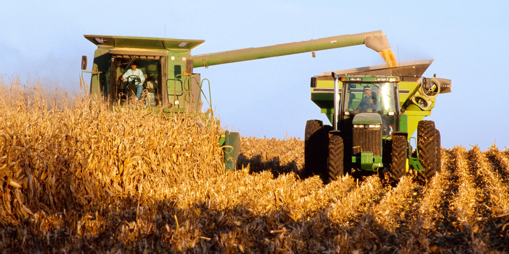 VenusianAndroid's tweet card. From funding cuts to tariffs, farmers have found themselves struggling to find markets for their products and facing the risk of steep losses for the year ahead.