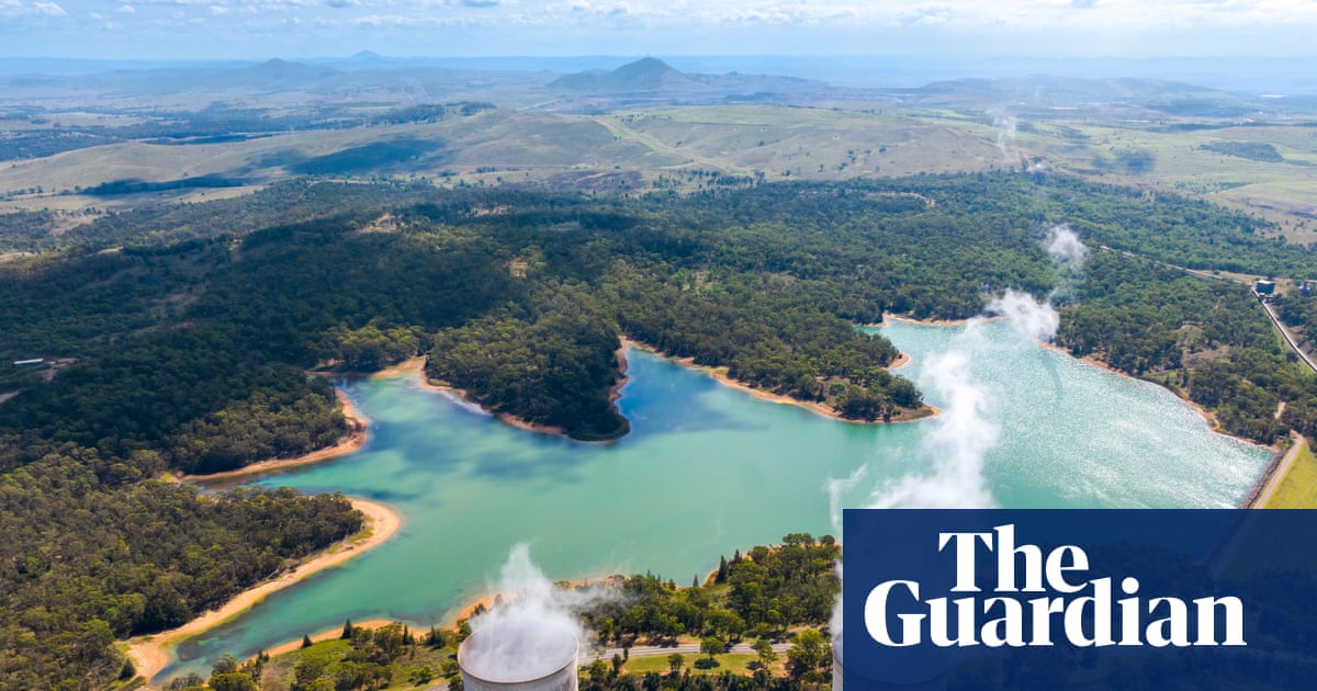 DavidPocock's tweet card. CEO of Australian Chamber of Commerce and Industry calls Sussan Ley’s new policy ‘a bit of a plan not to have a plan’, echoing business scepticism