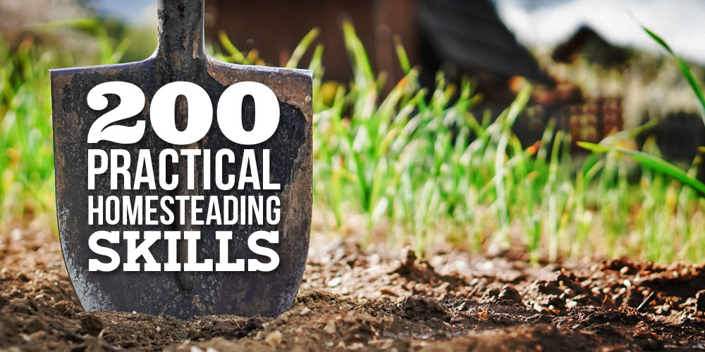 IslandPress's tweet card. These homesteading skills will help you build a vault of knowledge with homesteading basics and master skills that are essential, useful, and sometimes weird.