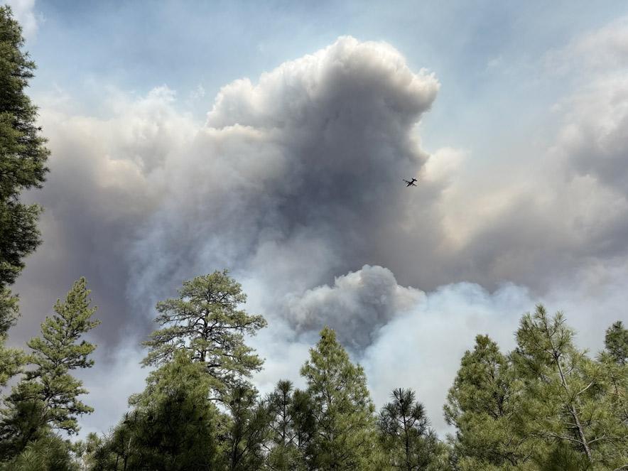 navajotimes's tweet card. A wildfire burning west of St. Michaels sent thick smoke into the sky on Saturday as fire crews responded to the fast-growing Oak Ridge Fire. 