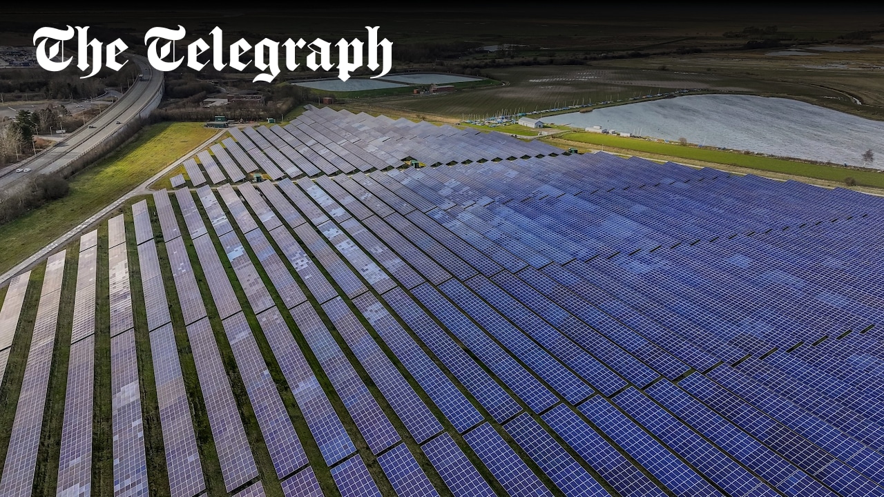 Unionbuster's tweet card. Politicians and conservation charities alarmed at changes to Bill opening up England’s forests to massive renewable energy projects