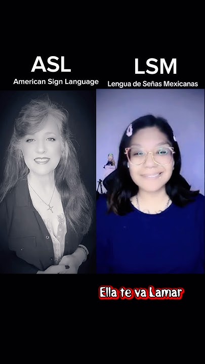 RASEforCRPS's tweet card. LSM & ASL “Lesson” (Mexican sign language & American Sign Language)￼-...