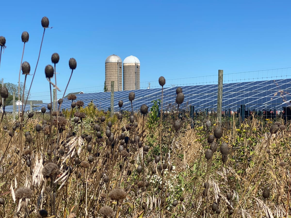 netzerofound's tweet card. A coalition of environmental groups finds U.S. renewable energy development has tripled in the past decade