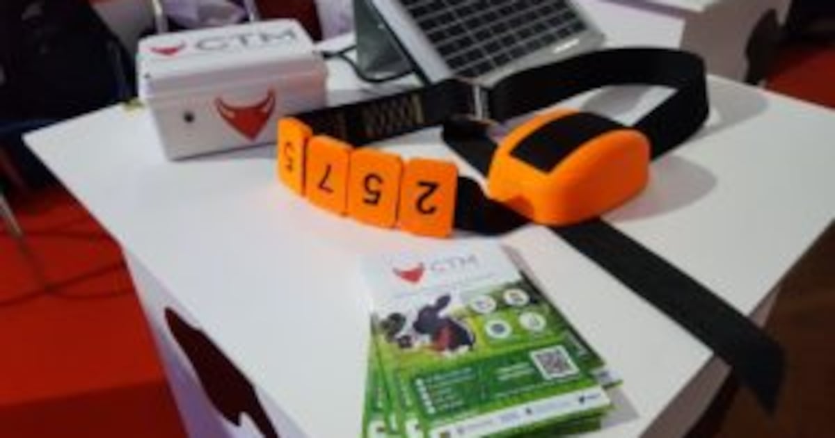 batutgis's tweet card. La inteligencia artificial llega al manejo ganadero