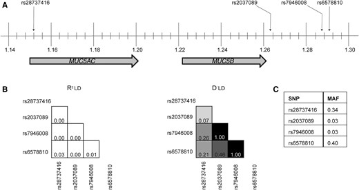 LabShah's tweet card. Mortality from tuberculous meningitis remains unacceptably high. This is the first study to show an association between tuberculous meningitis susceptibili