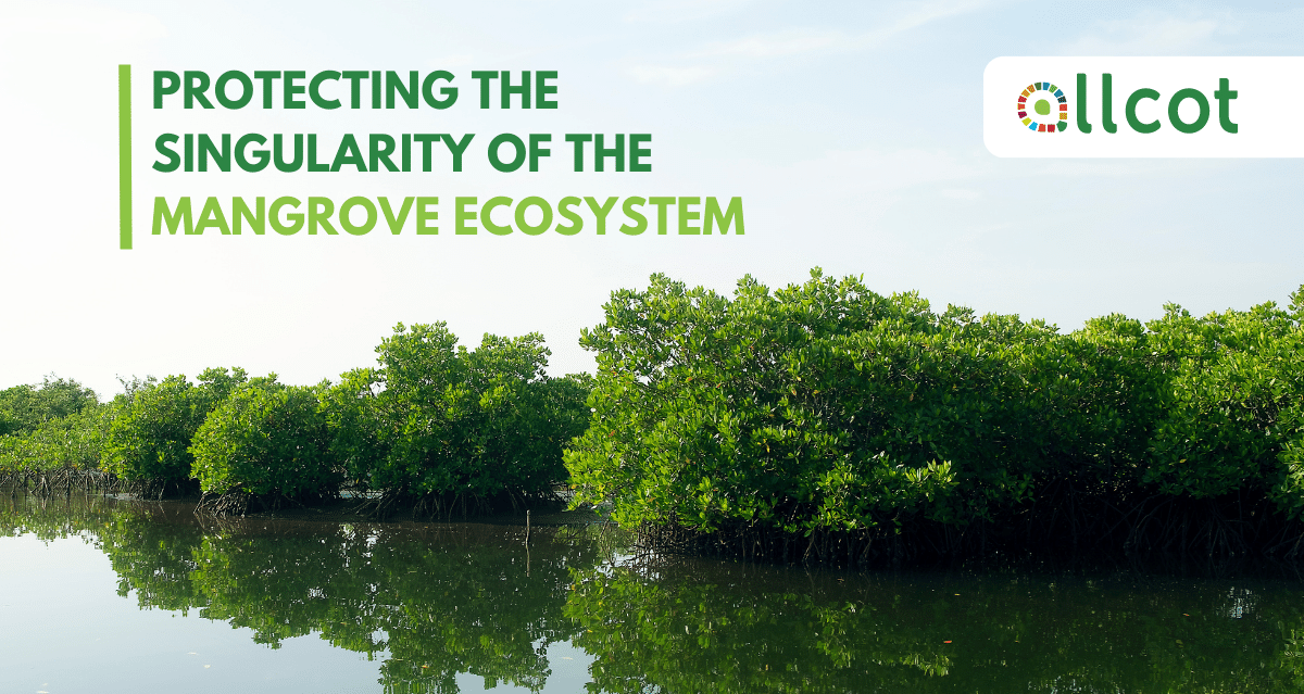 karbonxofficial's tweet card. ALLCOT BLUE CARBON ABC Mangrove Restoration Senegal Protecting the singularity of the mangrove ecosystem Of reforested mangrove Involved in the development Period of project durability THE REGION AND...