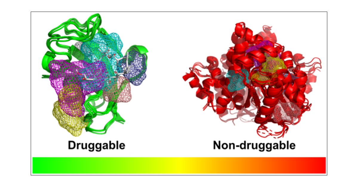 JCIM_JCTC's tweet card. We have investigated the impact of conformational diversity on the prediction of druggability to see whether structural ensembles of protein targets offer more precise insights. The study is based on...