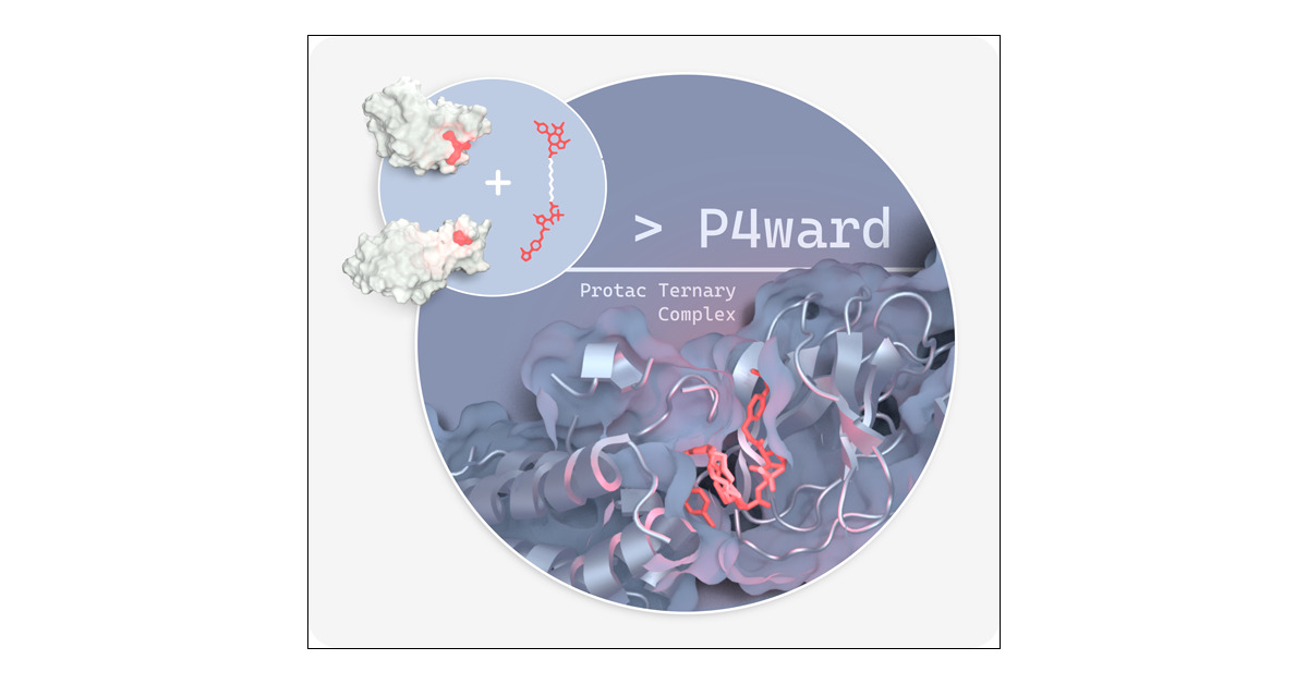 JCIM_JCTC's tweet card. Proteolysis Targeting Chimeras (Protacs) are a new class of drugs which promote degradation of a protein of interest (POI) by hijacking the Ubiquitin-Proteasome system. Structural knowledge of an E3...