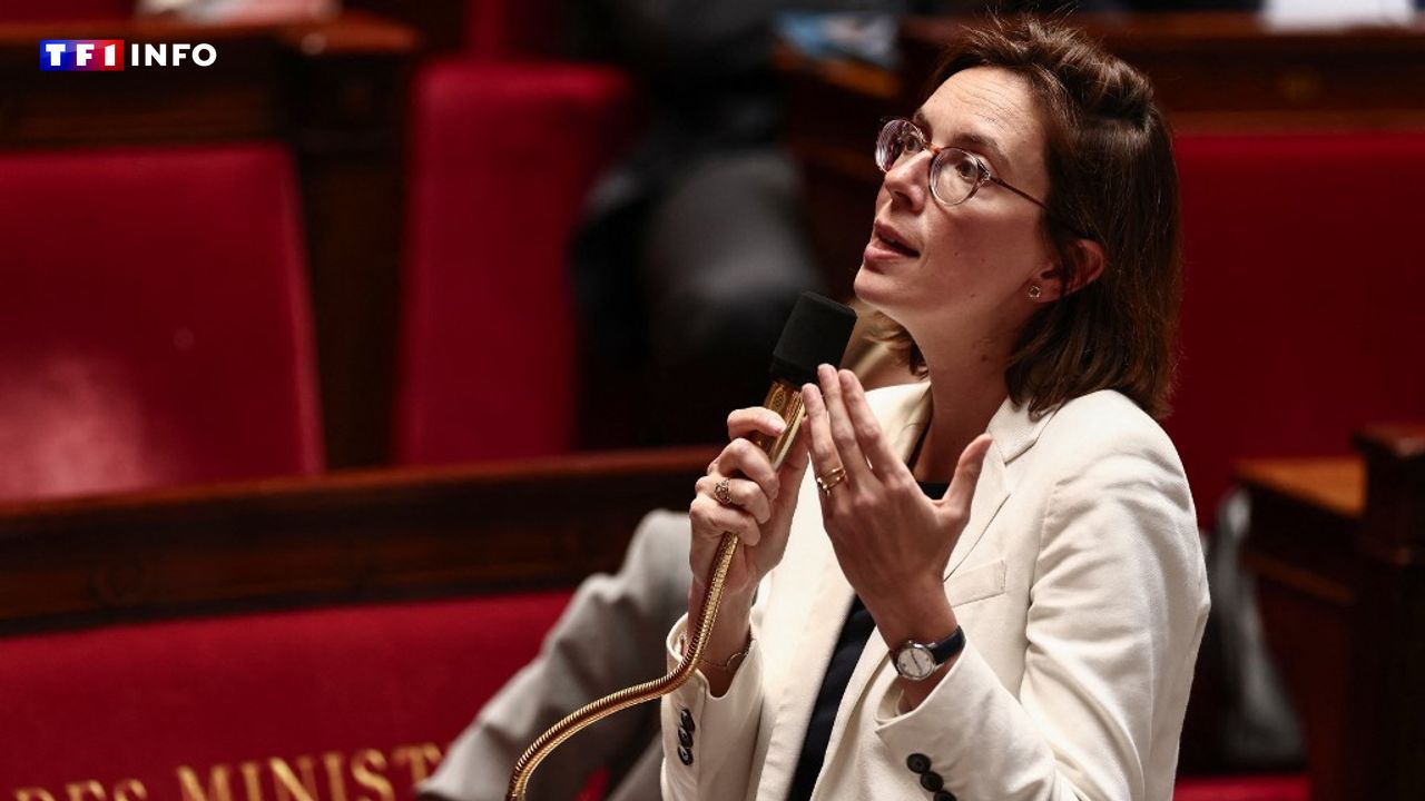 mnlienemann's tweet card. [VIDÉO] Les députés étudient à partir de ce lundi soir le projet de loi de fin de gestion (PLFG). Ce texte qui ajuste les finances de l'année 2025 devrait acter une baisse de 10 milliards d'euros des...