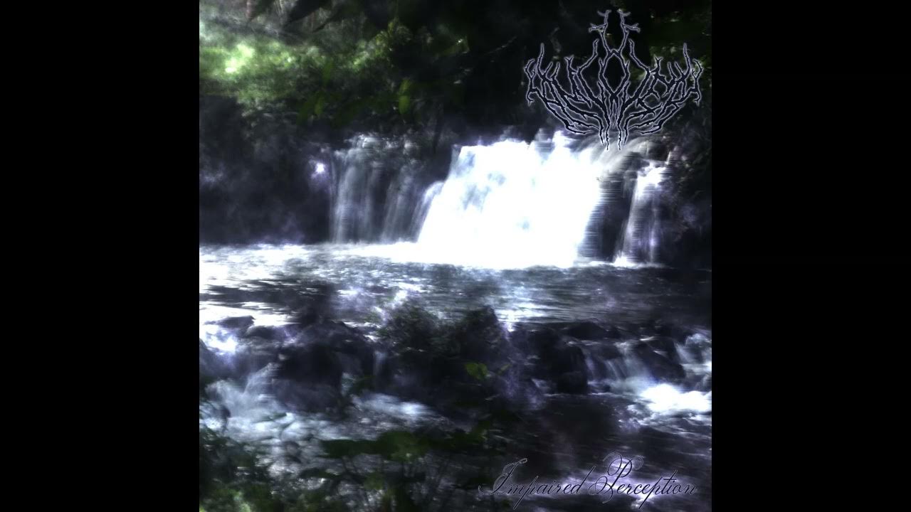 maxsstuff's tweet card. Amlover - Impaired Perception — Full EP