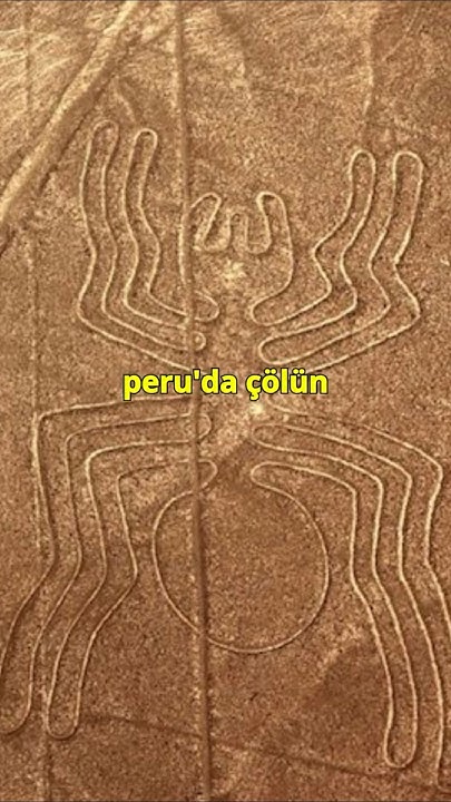 WatcherNode's tweet card. Nazca Çizgileri: Kim, Neden ve Nasıl? #shorts #trending #tarih...