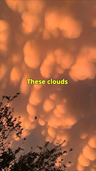 WatcherNode's tweet card. Mammatus Clouds: Nature's Most Mysterious Image! #shorts #trending...