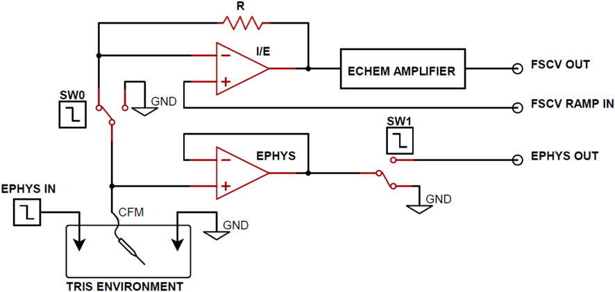 FrontSignalPro's tweet card. The combination of electrophysiology and electrochemistry acquisition methods using a single carbon fiber microelectrode (CFM) in the brain has enabled more ...
