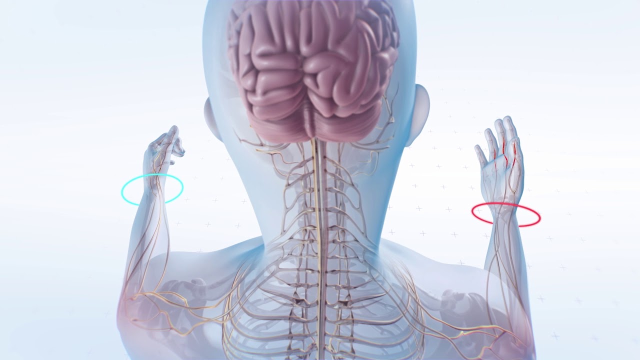 mssociety's tweet card. What is Multiple Sclerosis? An Overview of MS Causes, Symptoms,...
