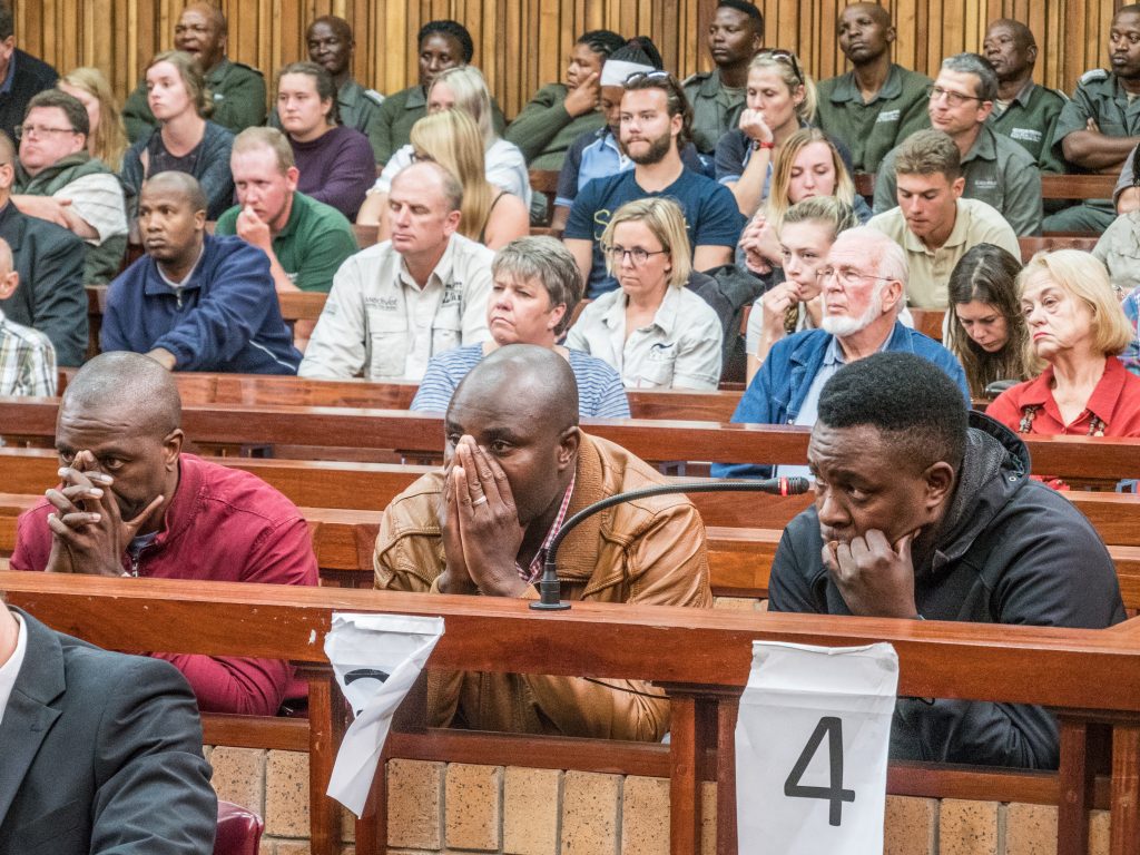 SLOSolstice's tweet card. After an excruciatingly long wait, justice has been served for conservationists and animal lovers. A gang of poachers in South Africa recently received a series of hefty sentences, wrapping up a...