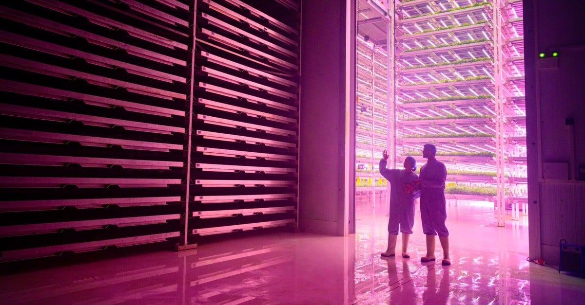 SThreeplc's tweet card. How can you, as an employer, harness AI to its fullest potential and maintain employee trust in the process?