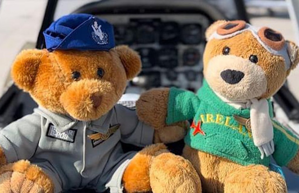 FlyingIreland's tweet card. After three incredible years of flying across Ireland and around the world, the beloved teddies, Capt. Paddy and Lucky are now up for grabs in a special raffle supporting LauraLynn Children’s Hospice...