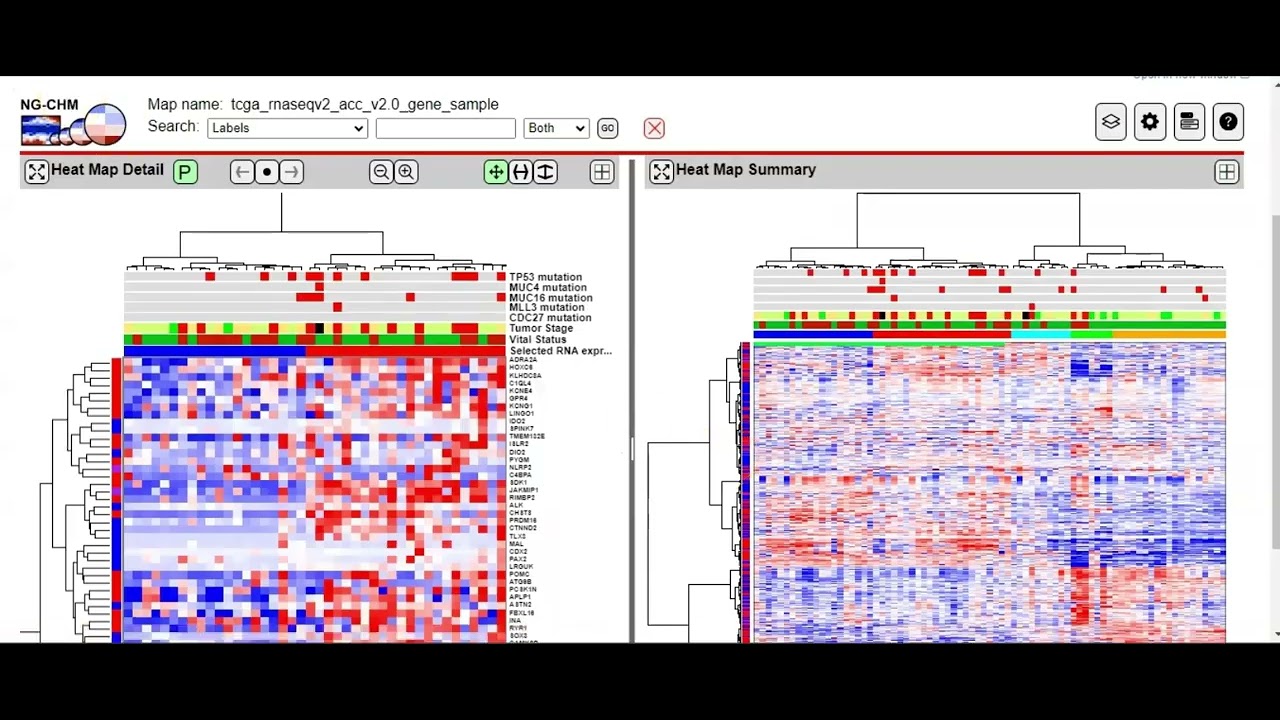CellBioEd's tweet card. (English Version) Visualizing Clinical Data Using Heatmaps in...