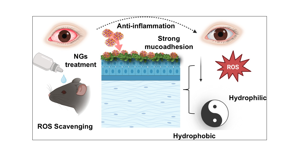 DrPawanKSingh's tweet card. Mucoadhesive nanoparticles show promise for mucosal drug delivery, but ocular applications remain limited by rapid clearance, poor retention, and insufficient drug encapsulation. Existing systems...