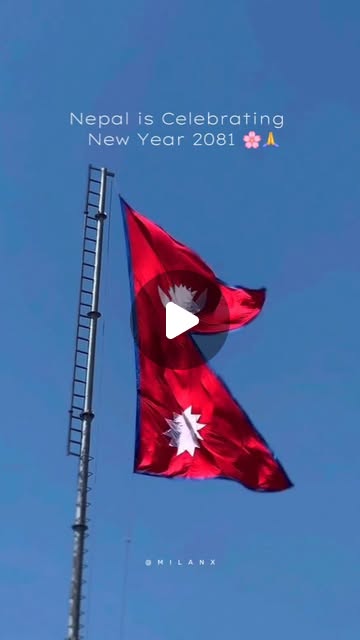 docsznga's tweet card. 𝕄𝕀𝔼𝕍𝔼ℝ (@miiever) • Instagram reel