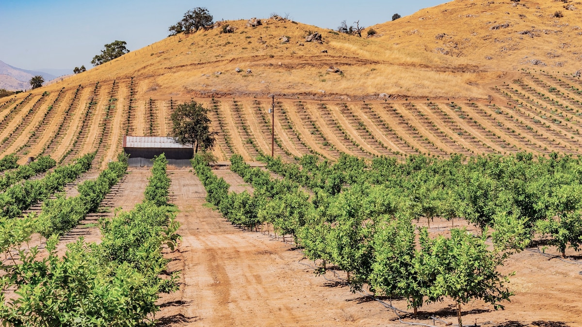 meyerslink's tweet card. The state pumps too much groundwater, especially during droughts. Now, it's learning to refill the overdrawn bucket. "It's the simplest math in the world," says one scientist.