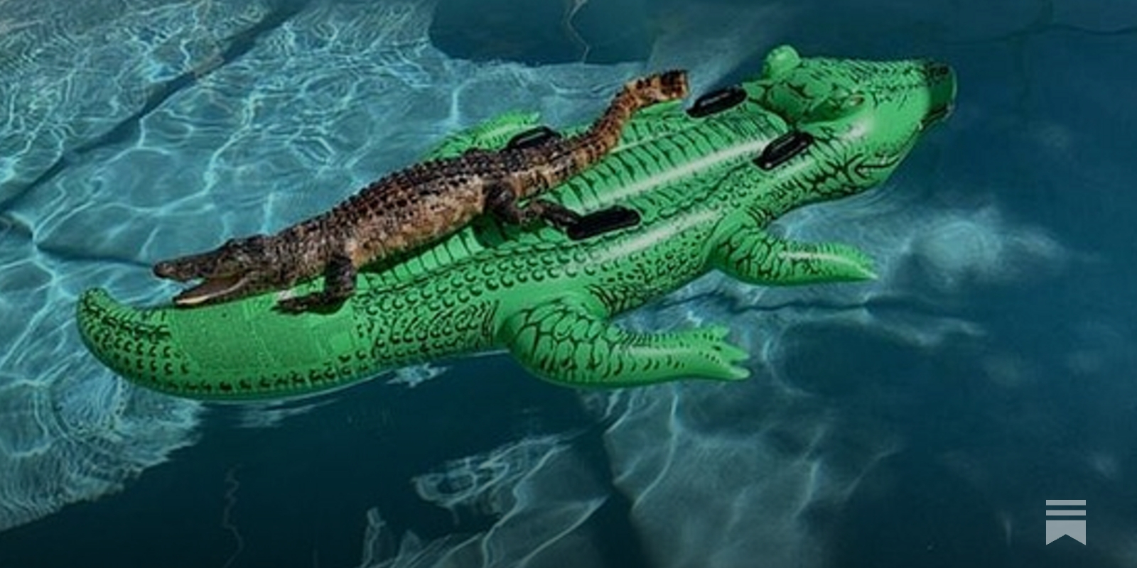 lukeburgis's tweet card. A short introduction to why we want the things we want.