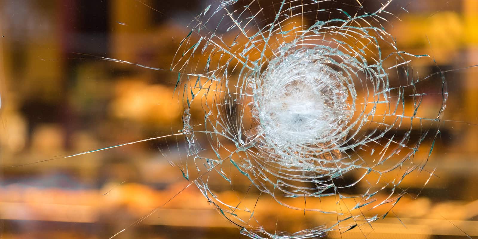 SolarEpic's tweet card. Get the highest level of building window protection from forced entry & bomb blasts with 3M Protection Attachment and 3M Commercial Window Film.