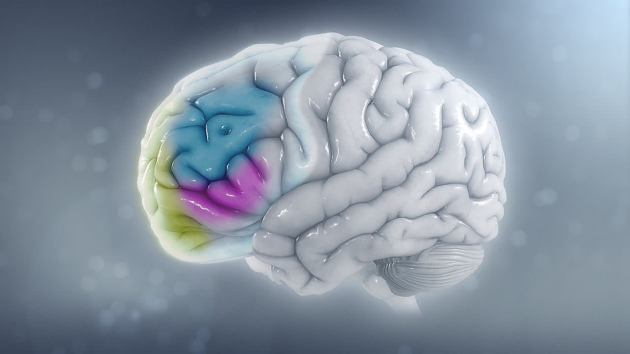 thinkbench's tweet card. ADHD is one of the most common mental disorders that usually first show up during childhood. This disorder in particular is characterized by hyperactivity and difficulty focusing.