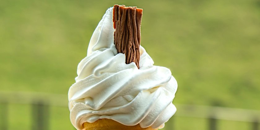 John_Papa's tweet card. Have you ever heard the expression 'You don't know what you go, til it's gone'? Do you know what it takes to render HTML elements on a web page without Angular, React, Svelte, and Vue? Let's explore...